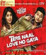 Tere naal love ho gaya 2012 Song Download